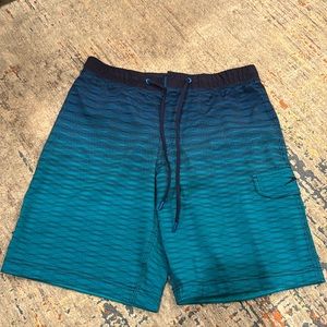 SPEEDO SWIM TRUNKS NEVER WORN
